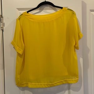 American Apparel Sheer Chiffon Top